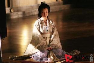 贞观之治电视剧演员表,群星闪耀演绎盛世传奇